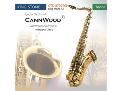 CannWood Saxophone_ _ Professional Class _ CTS_8700DG _